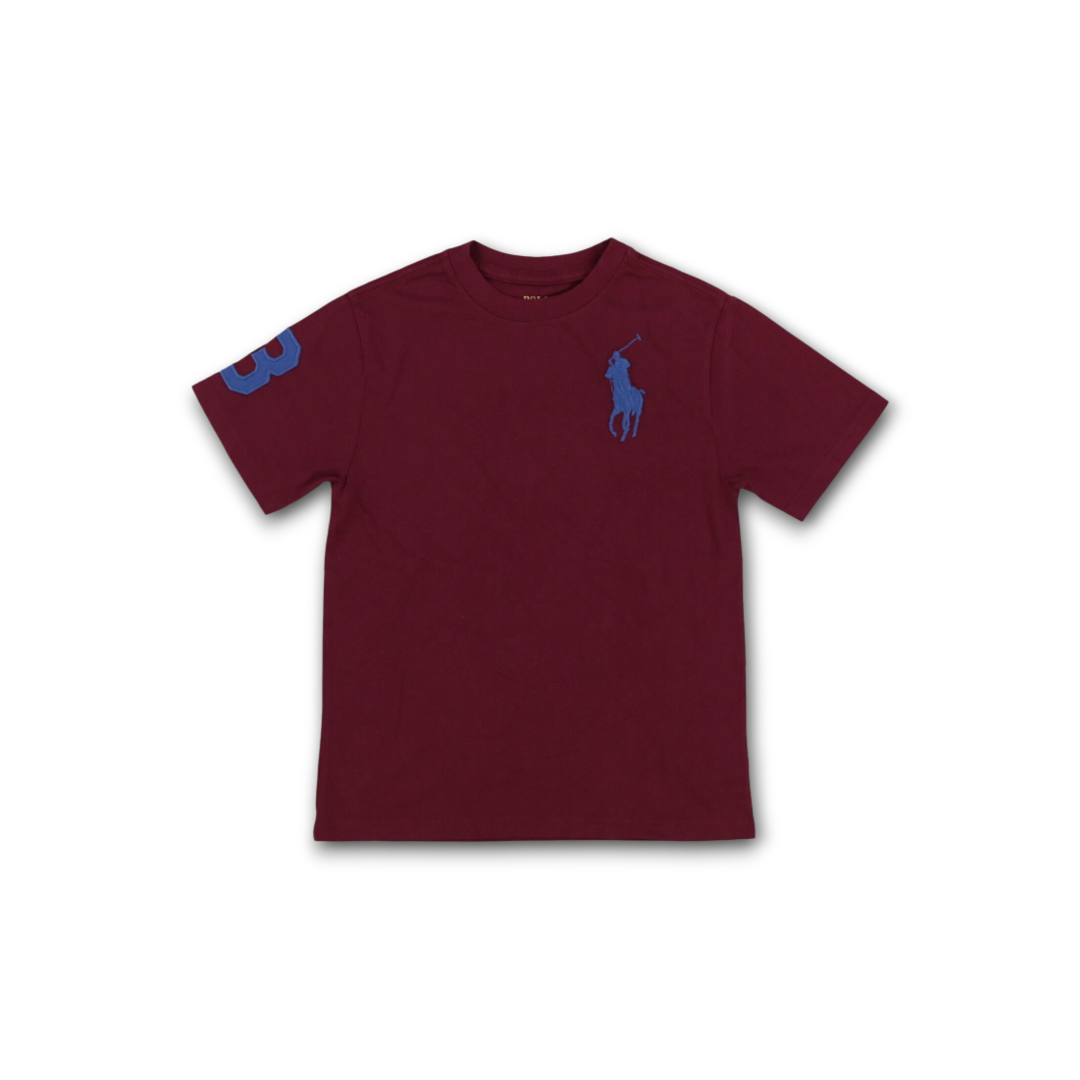 Big Pony Cotton Jersey T-Shirt