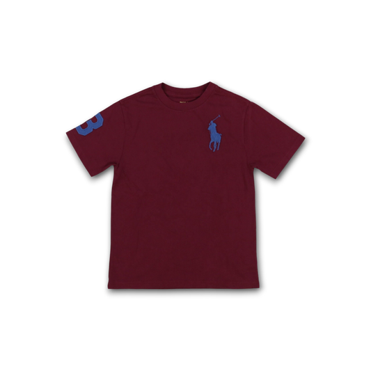Big Pony Cotton Jersey T-Shirt