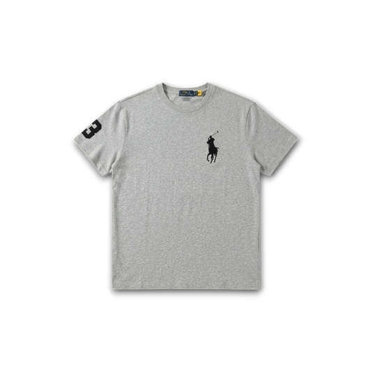 Big Pony Cotton Jersey T-Shirt