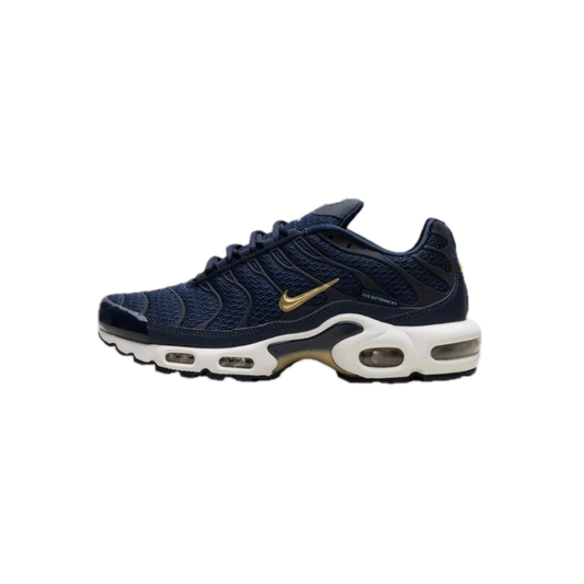 NIKE Air Max Plus "Black Suede Silver"