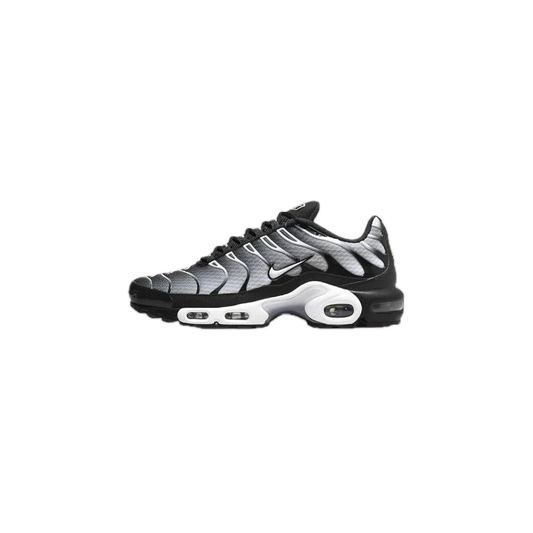 Nike Air Max Plus 'Black Metallic Silver'