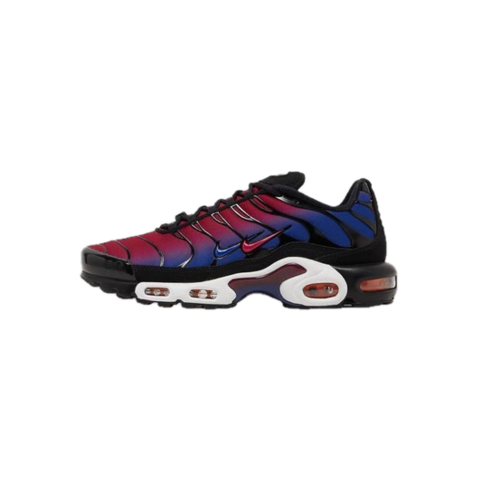 Air Max Plus x F.C Barcelona